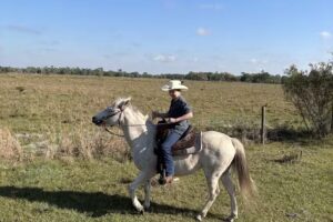 Wagon Wheel Horse Farm