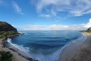 WaikikiLux Turtle Cove