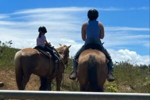 Waipio On Horseback