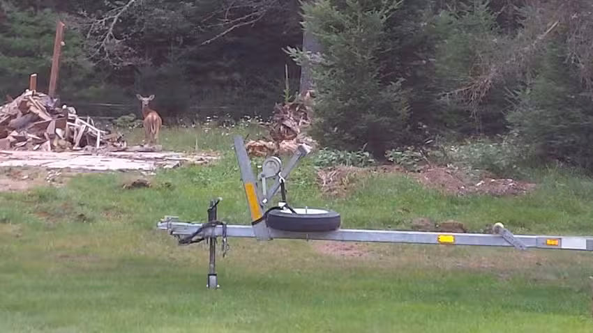 Waldens on Lost Lake