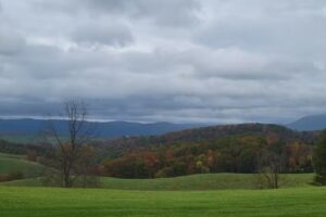 Walker Creek Retreat & Barn