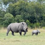 WALLSabout Luxury Travel