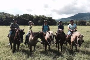 Wanderlust Travel & Adventure LLC