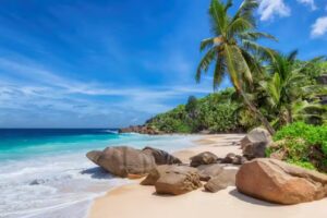 Wanderlust Travel Dreams