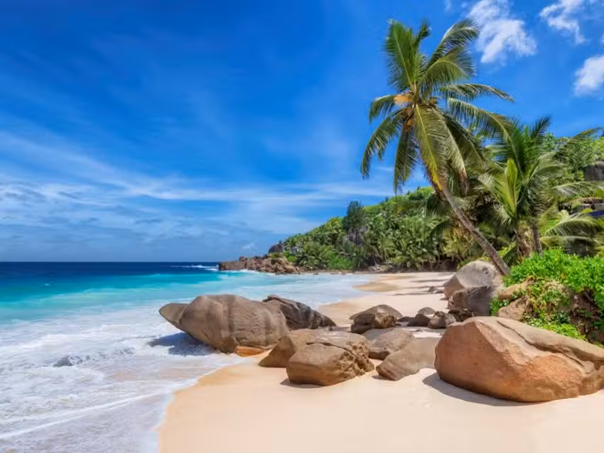 Wanderlust Travel Dreams