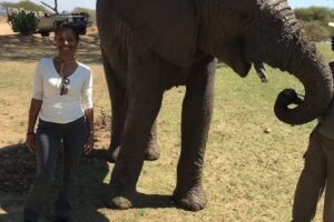 Wanderlust Travel Service