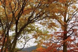 Warren County Tourism Department/The Lake George Area