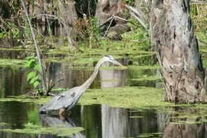 Washington County Tourist Development Council