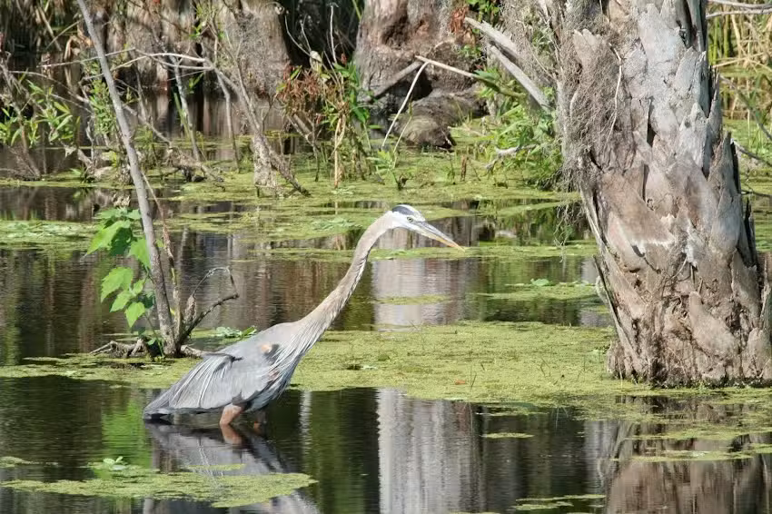 Washington County Tourist Development Council