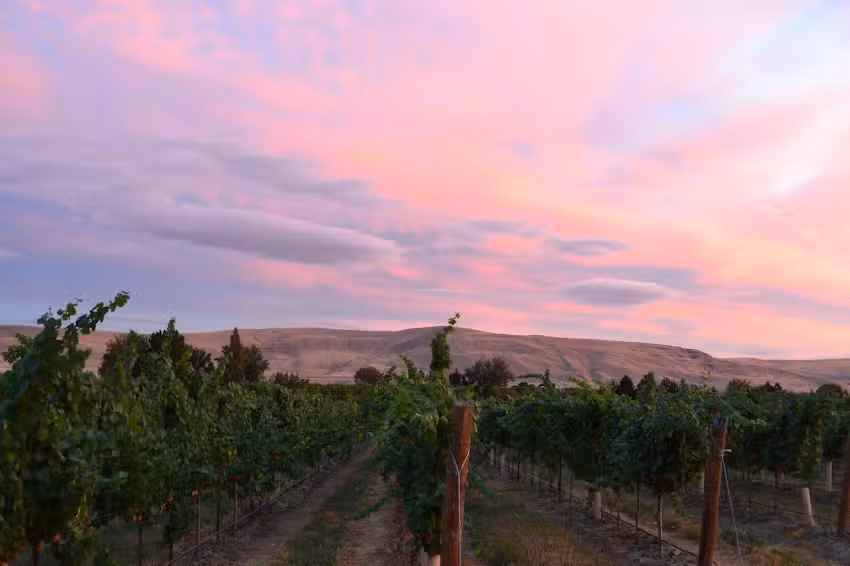 Washington Wine Country
