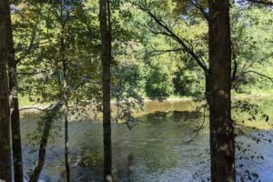 Watauga River Cabins