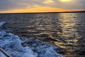 WaterDog Adventures LLC