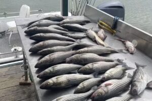 Waterfront Short term Rental- Kingston OK