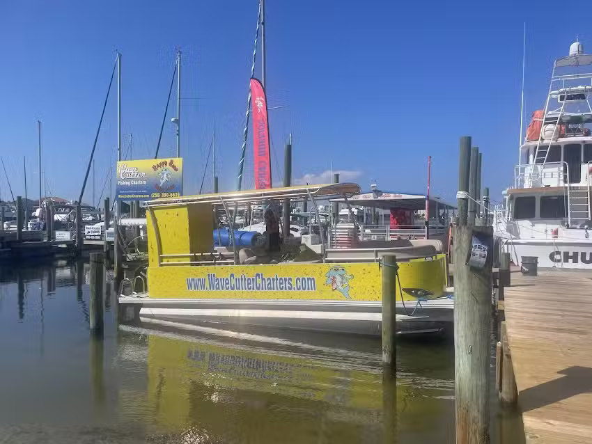 Wave Cutter Dolphin tours