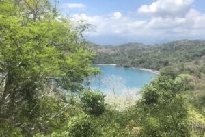 Wayne Griffin Travel Inc