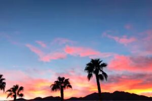 WayQueer Travel Society