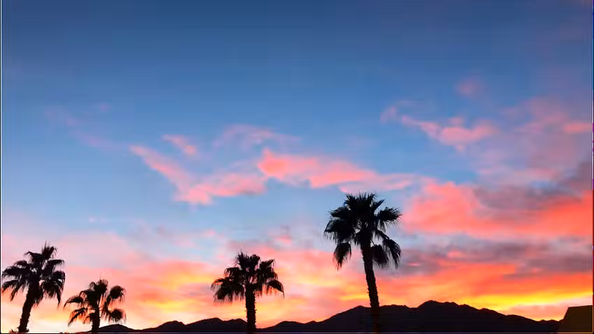 WayQueer Travel Society