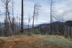 Weaverville Ranger Station