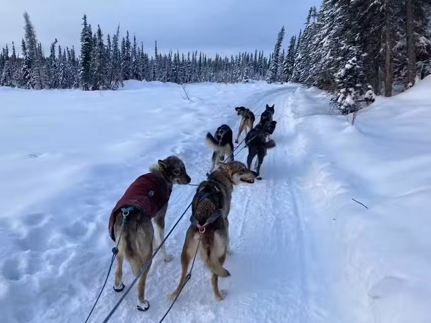 文景假期 纽瓦克店