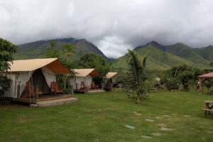 West Maui Kayak Tours