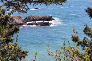 West Quoddy Head Visitors Center