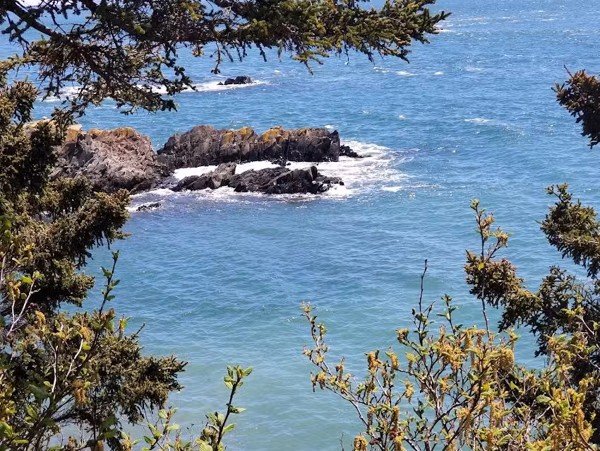 West Quoddy Head Visitors Center