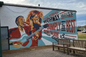 West Tennessee Delta Heritage Center / Tina Turner Museum