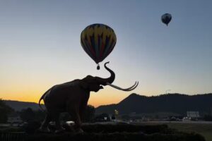 Western Horizons Hot Air Balloons