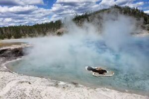 Western Pleasure Tours