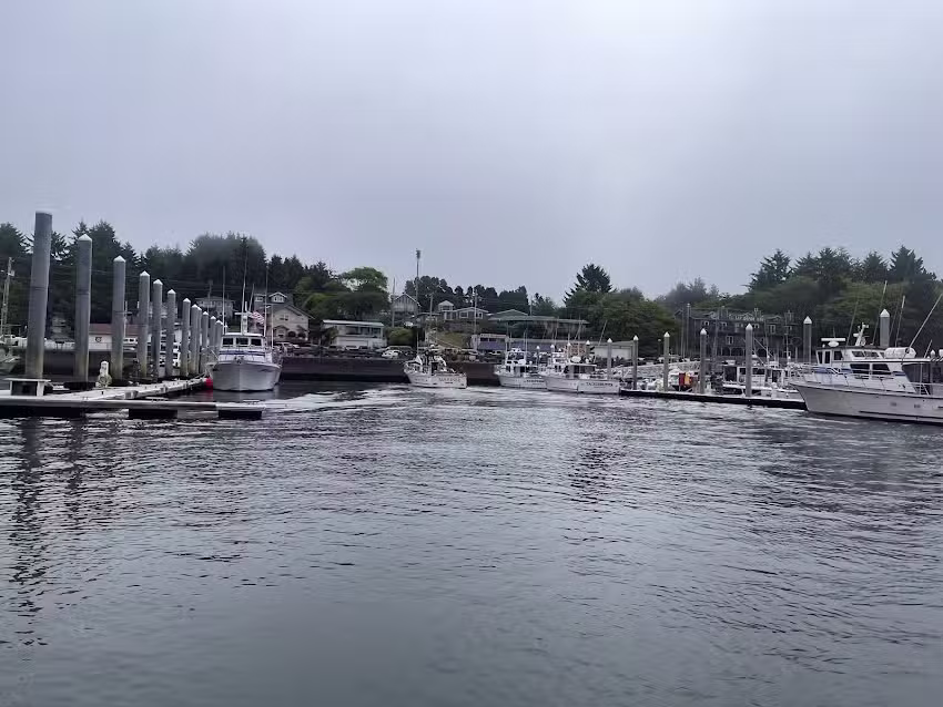 Whale&rsquo;s Tail Charters