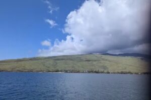 Whalewatch from ma&rsquo;alea harbor