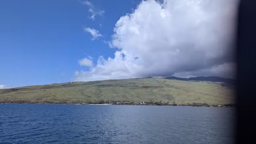 Whalewatch from ma&rsquo;alea harbor