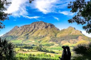 Where Life Meets Living