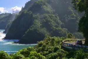 Where To Go Travel Co