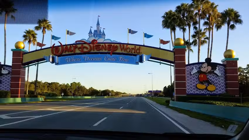 Whirl Tours & Travel