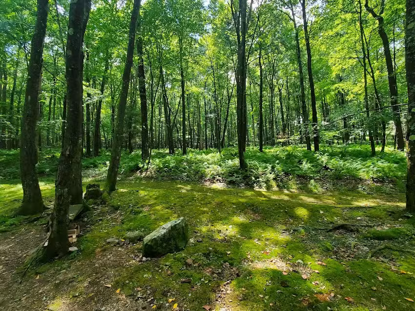 Whispering Oaks Cabins