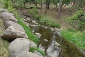 Whispering Pine Cabins