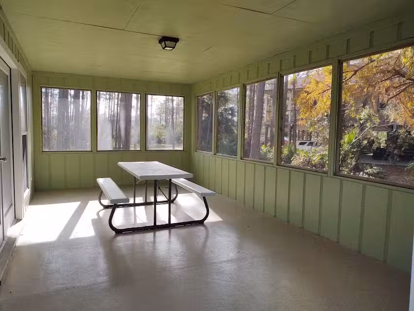 Whispering Pines of Cape San Blas