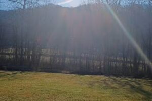 Whistlestop Cabin Rentals