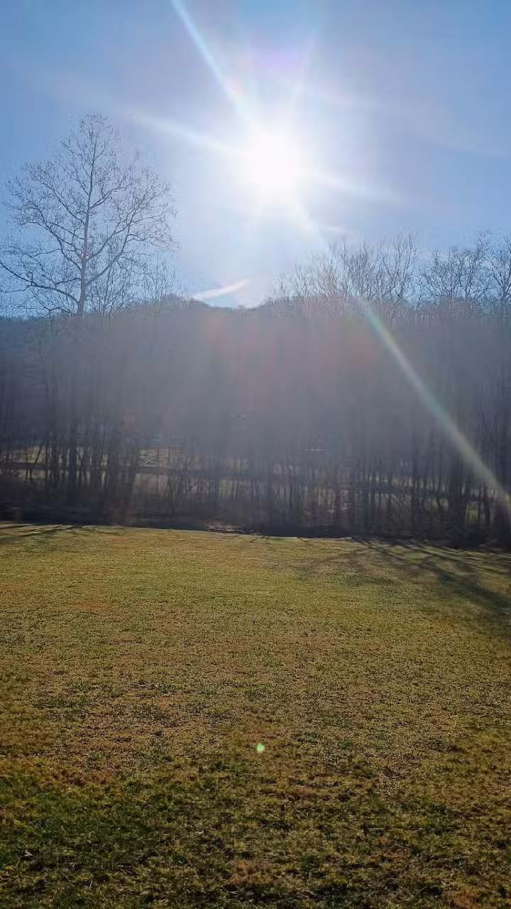 Whistlestop Cabin Rentals