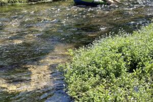 Wickiup Village Cabins