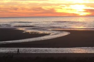 Wild Coast Vacations