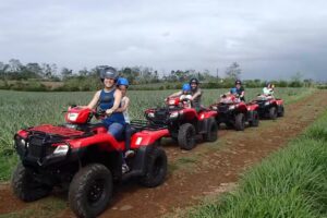 Wild Hilo Tours