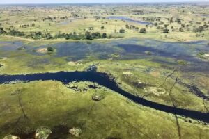 Wild Life Wine Safaris