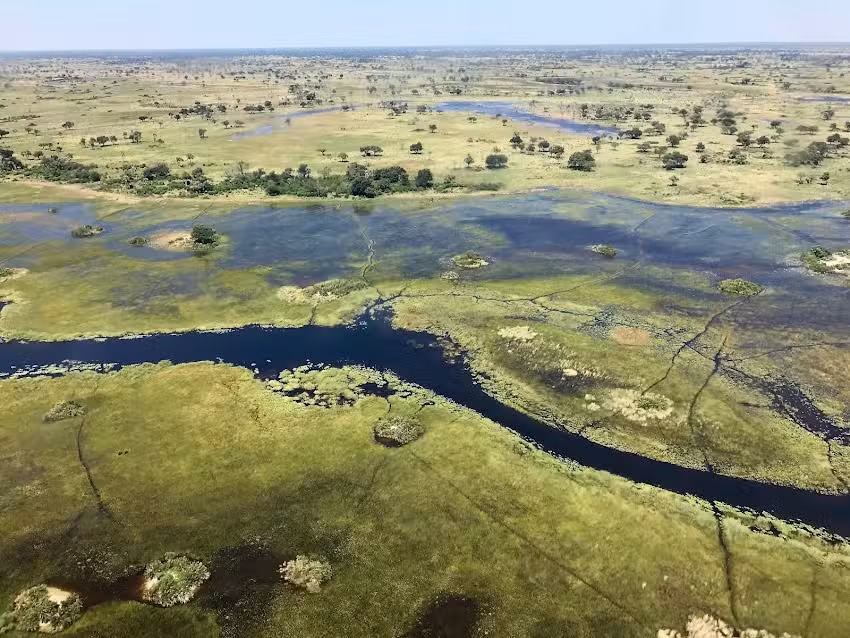 Wild Life Wine Safaris