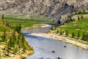 Wild on the Fly Adventure Travel