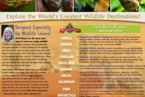 Wild Planet Adventures