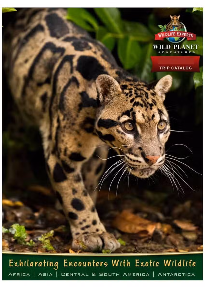 Wild Planet Adventures