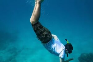 Wild Side Specialty Tours – Small Group Swimming with Dolphins Oahu Boat Tours