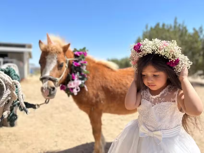 Wild Wind Ranch horseback riding, Pony Parties and more